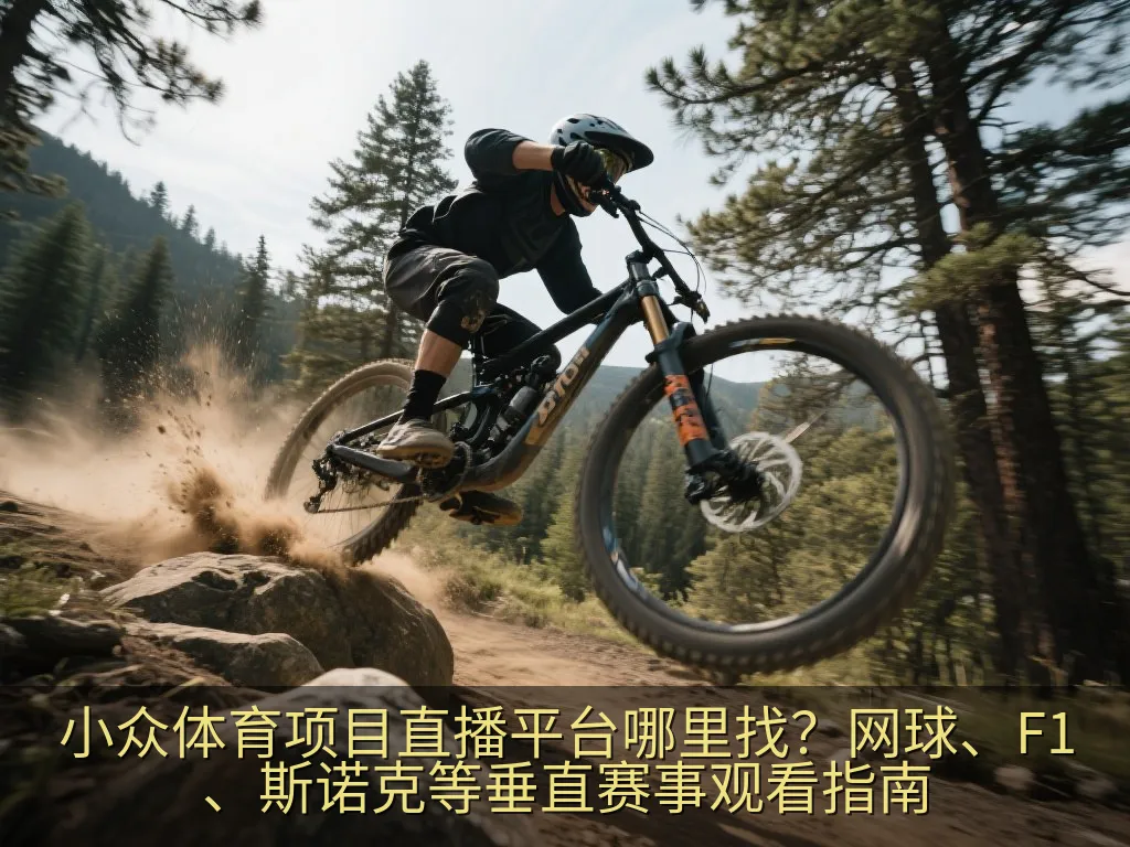 球迷规划全年观赛日程的笔记本与平板电脑